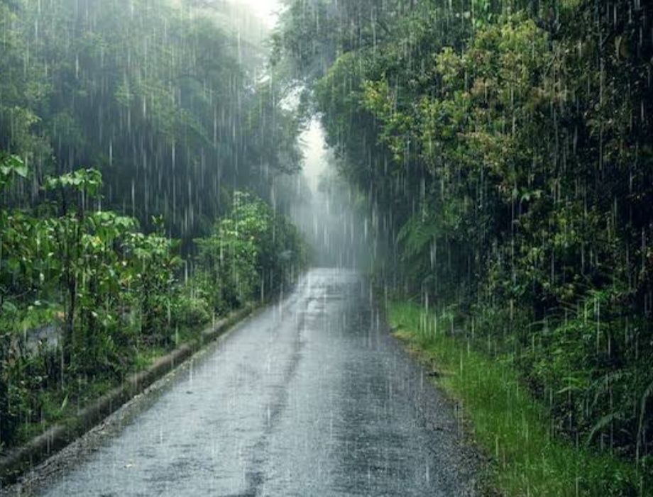 उत्तराखंड में भारी बारिश का अलर्ट, इन चार पहाड़ी जिलों में विशेष सतर्कता की अपील